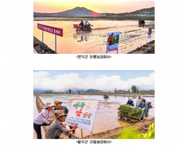 无标题.jpg